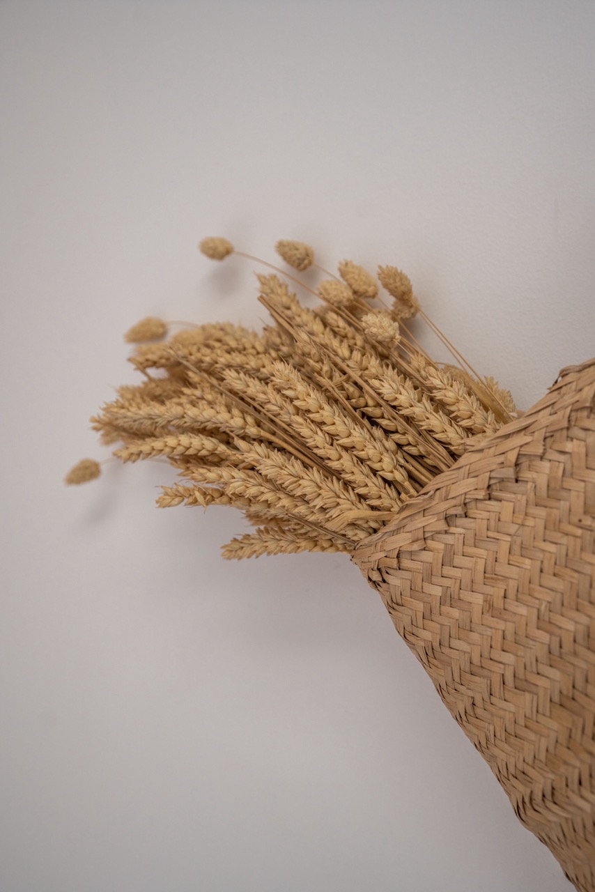 Décoration intérieure moderne et élégante par Rosaly.Bordeaux.